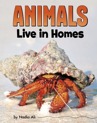 Animals Live in Homes foto