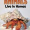 Animals Live in Homes