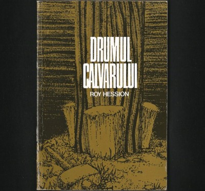 DRUMUL CALVARULUI - ROY HESSION foto