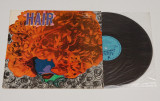 Boston Light Operatic Society &ndash; Hair - disc vinil vinyl LP editie Polonia, Rock