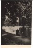 CPIB 22716 - CARTE POSTALA - CLUJ. VEDERE DIN PARC, RPR, NECIRCULATA, Fotografie