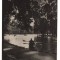CPIB 22716 - CARTE POSTALA - CLUJ. VEDERE DIN PARC, RPR, NECIRCULATA