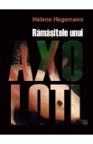 Ramasitele unui Axolotl - Helene Hegemann
