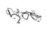 Cablaj ușă dreapta spate TESLA MODEL X 2019 OEM: P1032881-00-G 25251308