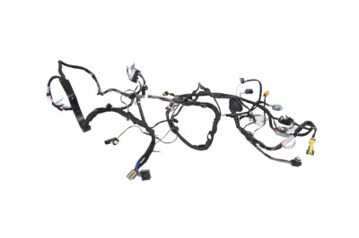Cablaj ușă dreapta spate TESLA MODEL X 2019 OEM: P1032881-00-G 25251308 foto