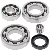 Cumpara ieftin Set de rulment diferential si garnitura Spate pentru KAWASAKI KLF 220/250 1988-2011
