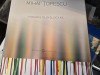 Paradis in dislocare, Mihai Topescu