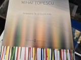 Paradis in dislocare, Mihai Topescu