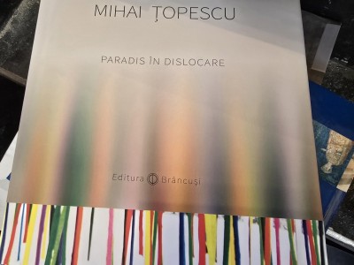 Paradis in dislocare, Mihai Topescu foto