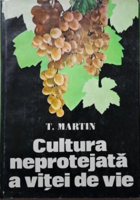 Cultura neprotejata a vitei de vie &amp;ndash; T. Martin foto