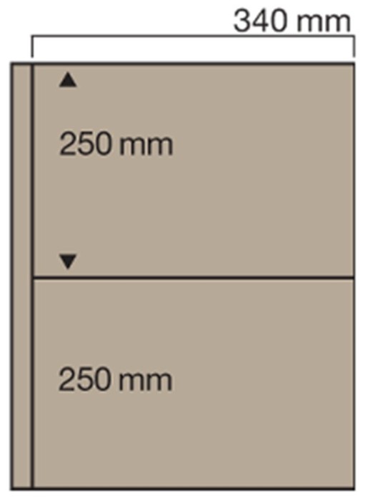 5 folii bej pentru ziare, relevee, Jumbo, cu 2 buzunare fata verso de 250 x 340 mm