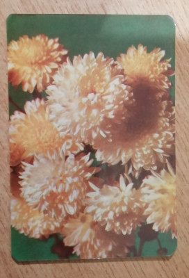 M3 C31 16 - 1981 - Calendar de buzunar - reclama horticultura foto