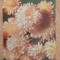 C9 16 - 1981 - Calendar de buzunar - reclama horticultura