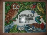 Animalele din jurul nostru- Irene Geiling, Christa Stephan