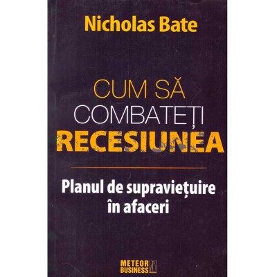 Nicholas Bate - Cum sa combateti recesiunea - Planul de foto