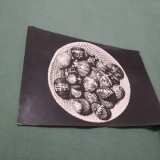 CARTE POSTALA FELICITARE PASTI CIRCULATA