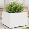 VidaXL Jardinieră de grădină, alb, 70x70x49,5 cm, lemn masiv de pin 847364