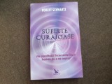 Robert Schwartz - Suflete curajoase. Ne planificam incercarile vietii inainte de a ne naste?