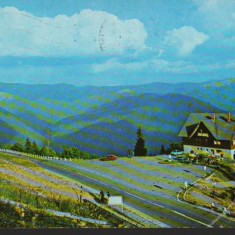 CPI B12410 CARTE POSTALA - SINAIA. CABANA BRADET