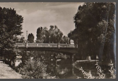 CPIB 21208 CARTE POSTALA - TIMISOARA. POD PEST BEGA, RPR foto