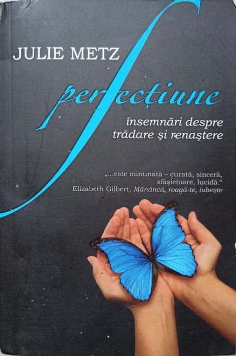 PERFECTIUNE. INSEMNARI DESPRE TRADARE SI RENASTERE-JULIE METZ-236837