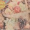 Pliant - Fructe