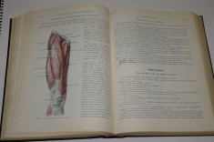 Anatomia omului - aparatul locomotor - Iagnov - Repciuc - Russu - Editura Medicala - 1962