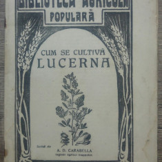 Cum se cultiva lucerna - A.D. Carabella/ 1935