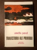 Amelia Pavel - Traiectorii ale privirii (vezi descriere)