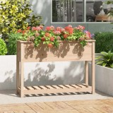 Cumpara ieftin Jardinieră cu raft, 111,5x34,5x81 cm, lemn masiv de pin