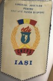 Fanion Vintage CJEFS Iași - Consiliul Județean pentru Sport - Stemă RSR / Comunism