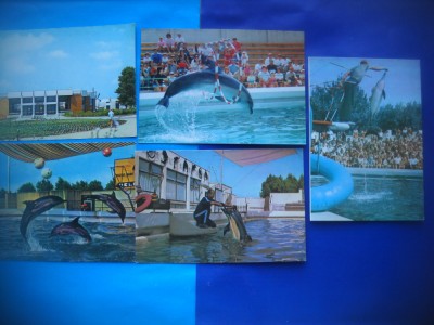 HOPCT LOT NR 592 DELFINARIU CONSTANTA-CT-5 CARTI POSTALE-RSR-NECIRCULATE foto
