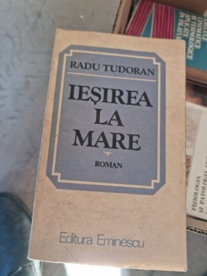 Radu Tudoran - Iesirea la mare foto