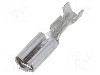 Terminal tip plat, pentru surub {{Orificiu pentru &amp;#351;urub}}, {{Producator}} -