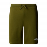 Pantaloni scurti The North face M GRAPHIC SHORT LIGHT-EU