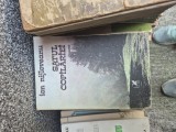 Satul copilăriei vintage