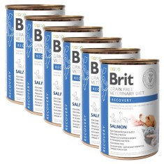 Brit Veterinary Diets GF cat + dog Recovery salmon 6 x 400 g foto