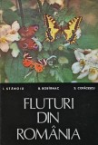 Carte Fluturi din Romania 1979 Stanoiu Bobirnac Copacescu Editura Scrisul Romanesc 300 pagini Brosata Stare Buna
