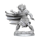 Miniatura Nepictata D&amp;D Frameworks - Wight