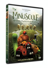 Minuscule: Aventura furnicutelor ratacite / Minuscule: Valley of the Lost Ants - DVD Mania Film foto