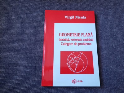 VIRGIL NICULA GEOMETRIE PLANA foto