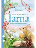 Totul despre natura. Iarna. Minienciclopedie cu activitati/Gabby Dawnay
