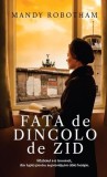 Fata de dincolo de zid Hardcover Mandy Robotham Zidul Berlinului Berlin de Est Romane Carti Beletristica