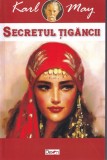 Karl May - Secretul tigancii, Editura Dexon, 2018, Romana, Aventura, Mister, Coperta Brosata