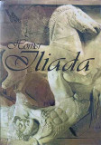 ILIADA. TRADUCERE DE RADU HANCU-HOMER-358479