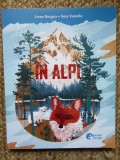 In Alpi - Irene Borgna