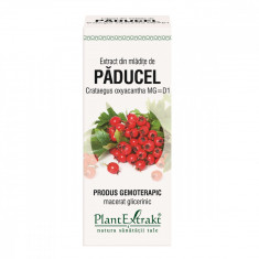 Extract din mladite de paducel, 50ml, PlantExtrakt