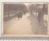 Bnk foto - Buzau - Parcul Crang - 1941, Alb-Negru, Romania 1900 - 1950, Natura