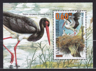 BULGARIA 2000 FAUNA PASARI BARZA BLOC MNH foto