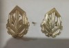 S 37 - semne de arma - metalice - chimie militara model nou - aurii